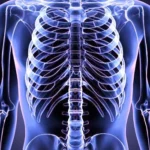 5 Fungsi Sistem Rangka Manusia yang Perlu Anda Ketahui